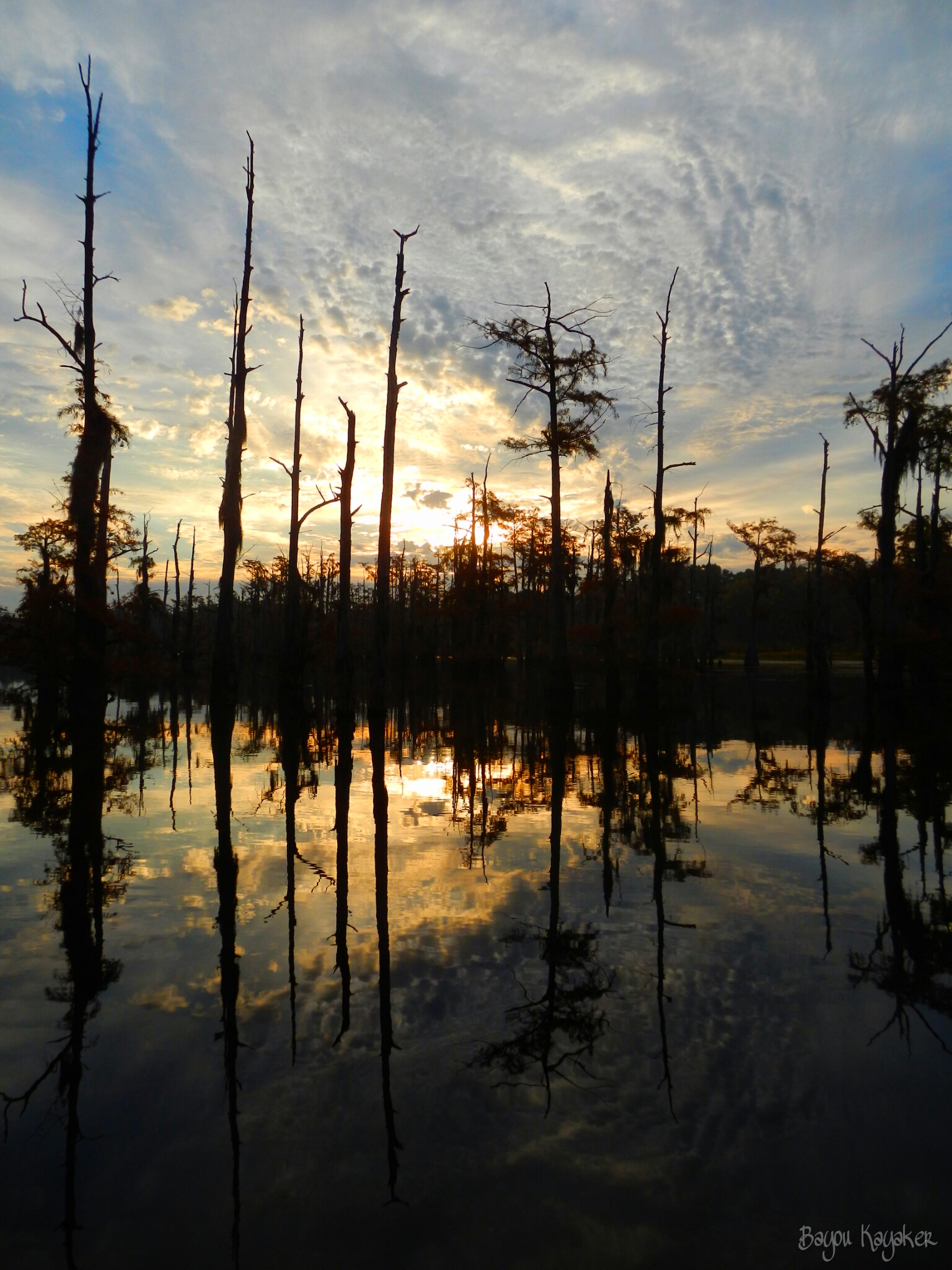 natural reflections capris
