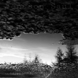 black & white photography sky travel trees
